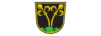 Coat of arms of Traunstein